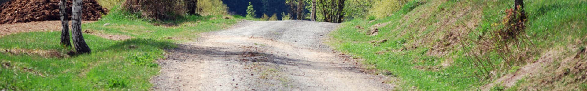 landowner-responsible-for-trees-overhanging-a-public-highway